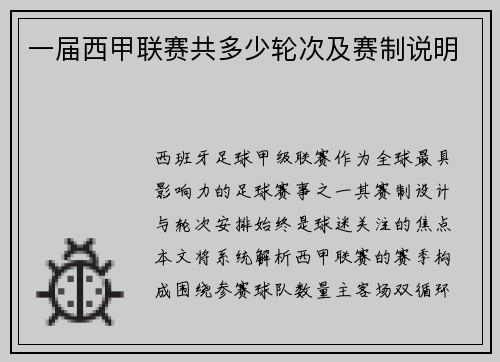 一届西甲联赛共多少轮次及赛制说明
